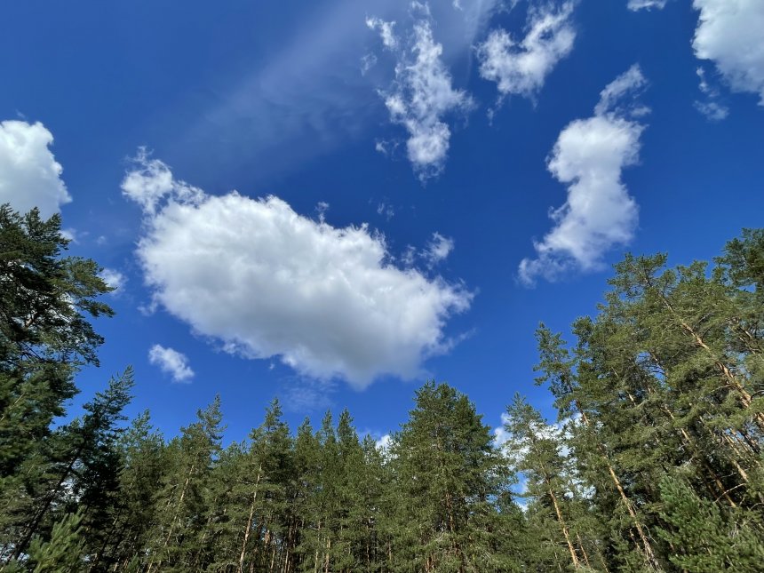 Красота родной деревни -   (1/8)