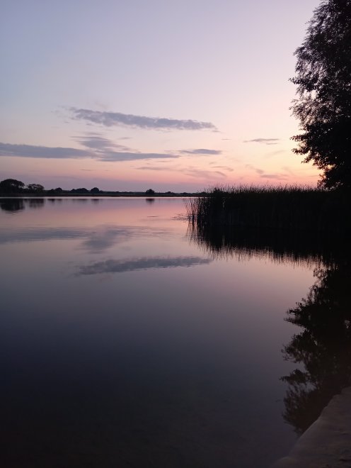 Тишина - Ольга