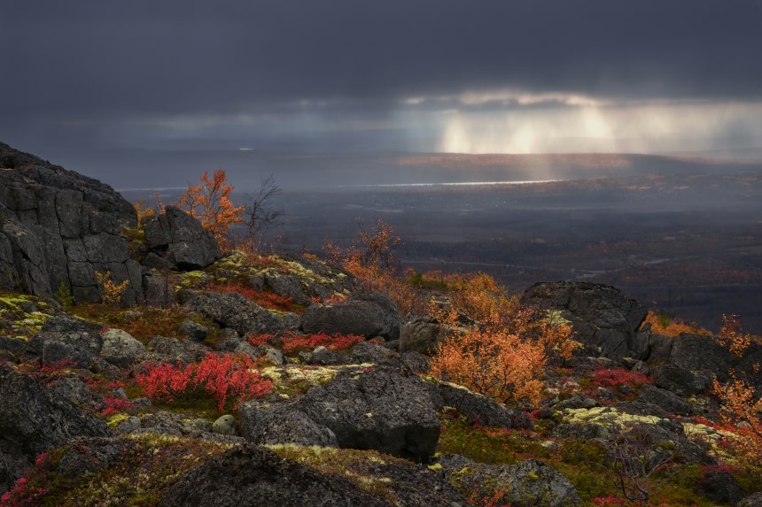 Лучики -  