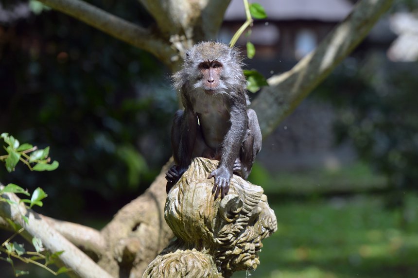 После купания - Дмитрий