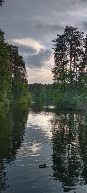 Вечер. Серебряный бор - Надежда Мутолапова