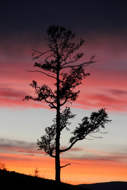 Краски горизонта - Анна Ковалева