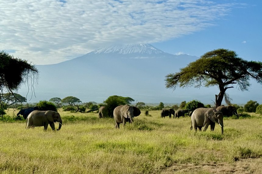 Вечные столпы Африки - Наталья