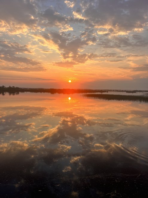 Рассвет - Наталья