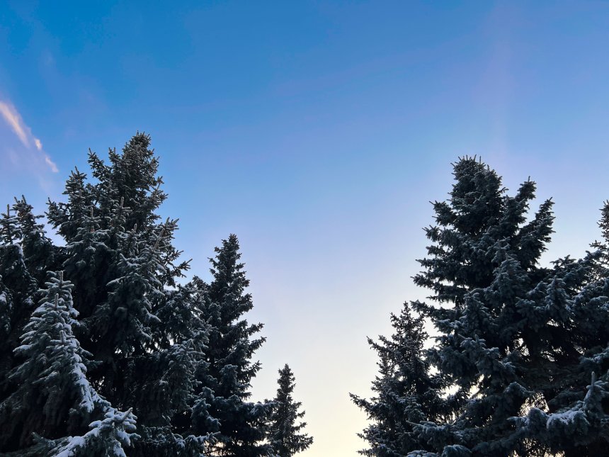 Морозный день/Frosty day -  