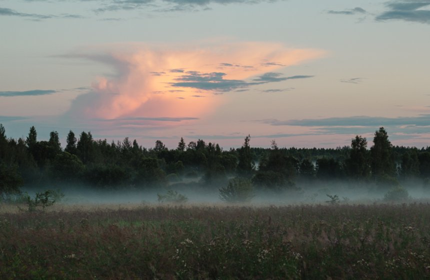 Туман в деревне - Ольга