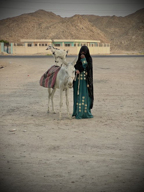 Египет в красках и без - Елена Аганина (1/4)