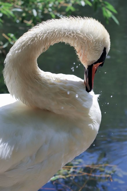 Бесконечность -  