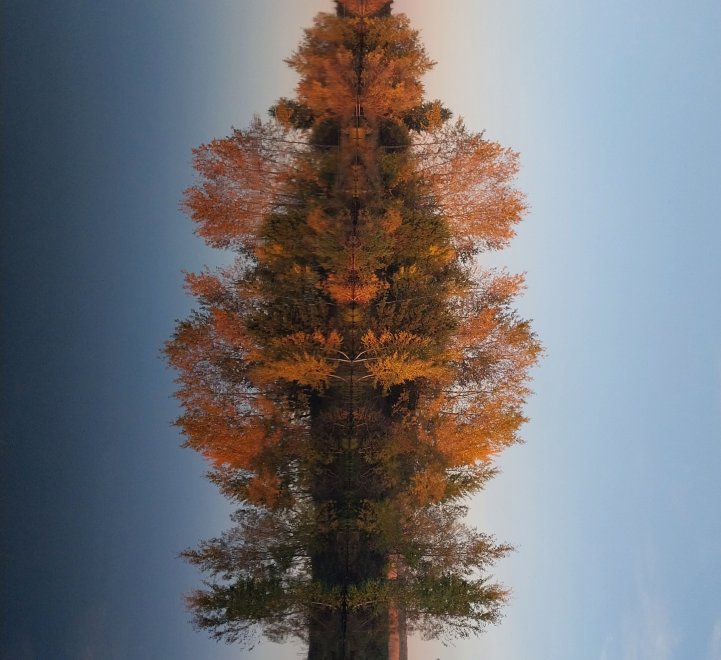 Игра воображения - Ксения Немченко