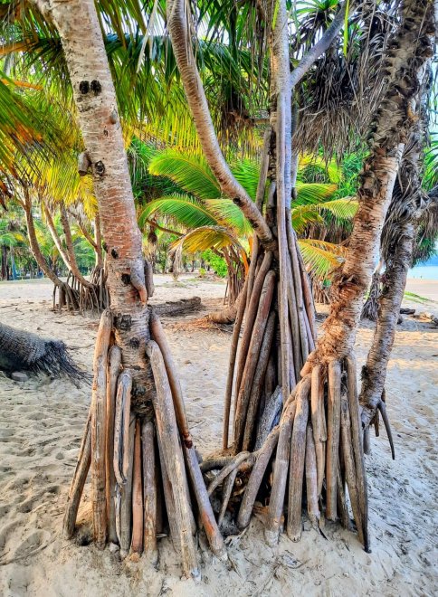 Ещё немного и они пойдут -  