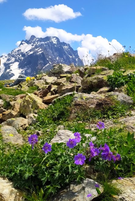 Лучше гор могут быть только горы, на которых еще не бывал... - Вероника Павлюк (1/8)