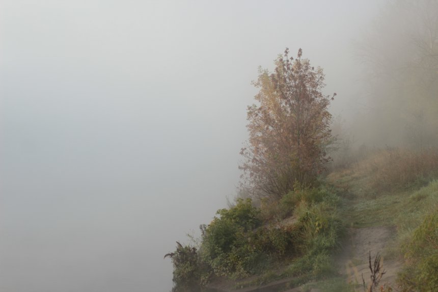 Туманное утро в Подмосковье - Лариса