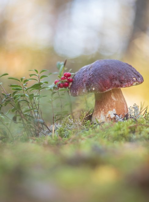 Краски октября - Мария Обидина