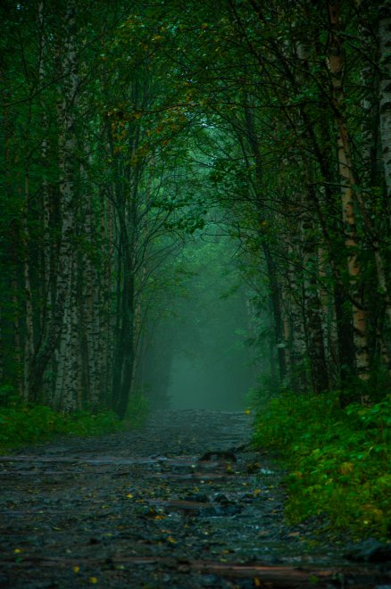 по дороге в сказку - Вера Давлетшина