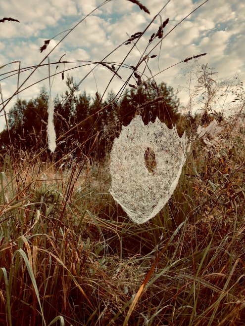 Шедевры невидимой нити -  