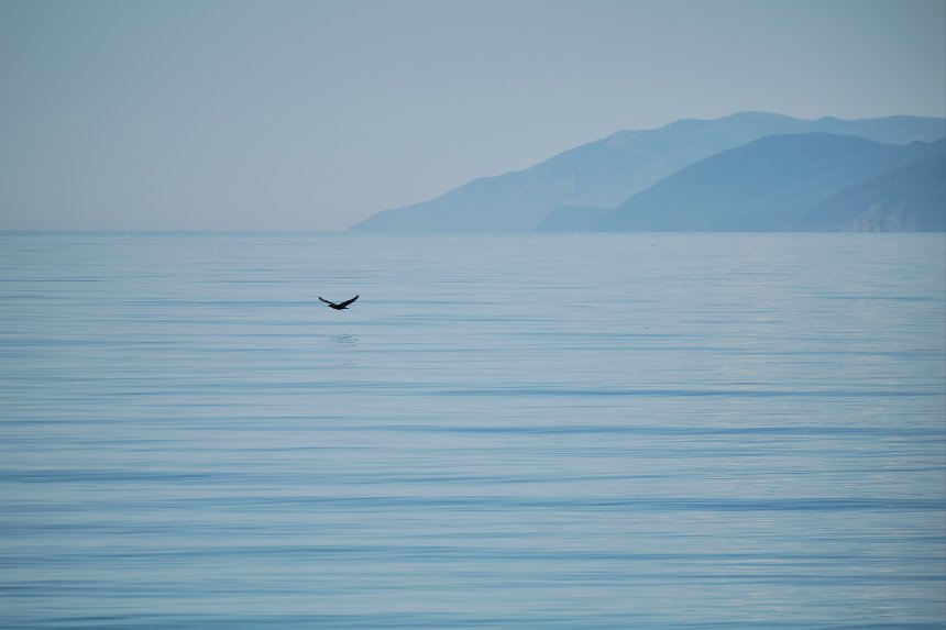 Парящий в тишине -  