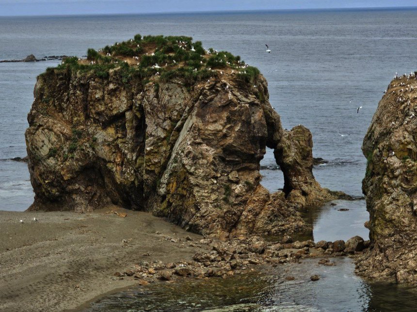 Сила и спокойствие мыса Птичьего, о. Сахалин - Анна Давыдова (1/5)