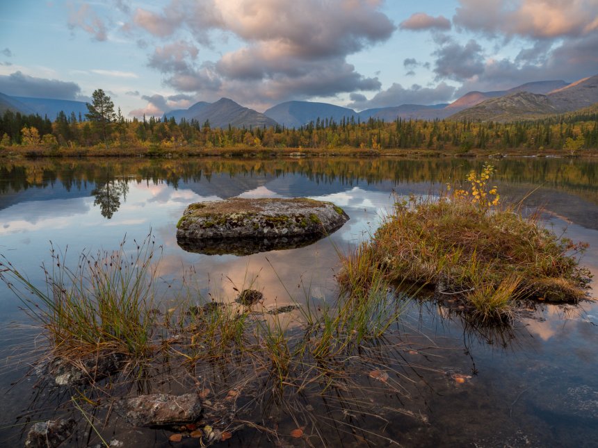 Очарование осени - Анна Шейко