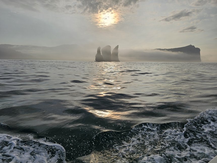 Загадочные братья - Юлия