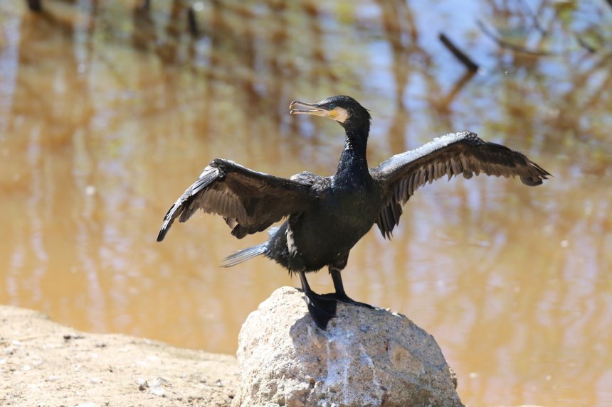 Выгодный ракурс - Евгения