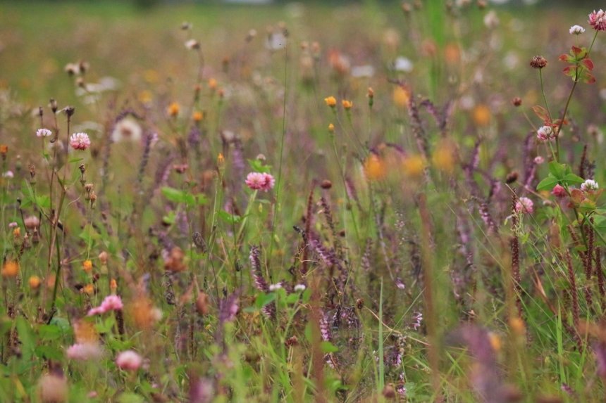 Неожиданная встреча -   (1/8)