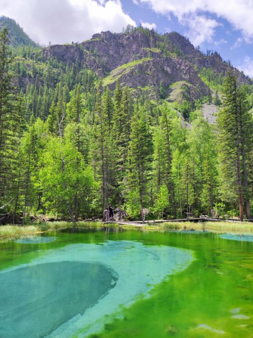 Все зелено -  