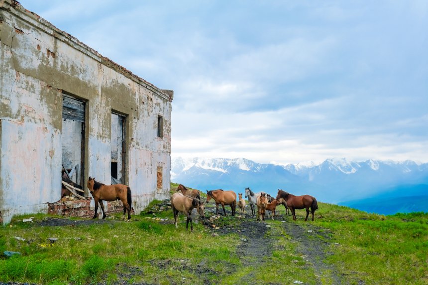 Сила природы -  