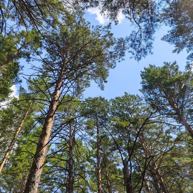 Легкие города -  