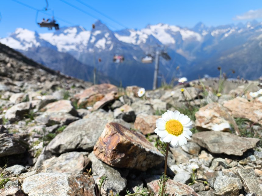 Сила природы -  