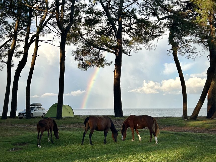 Я помню чудное мгновенье - Ольга (1/3)