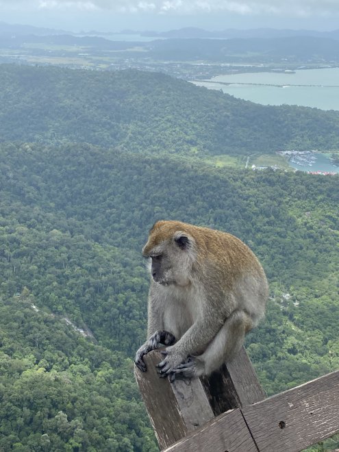 На высоте - Ekaterina Деревенко