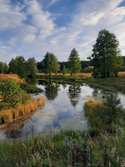 Уж небо осенью дышало... - Меркулова Юлия
