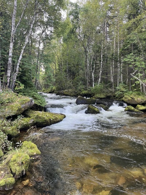 Зимовье на Удунгинском тракте -   (1/8)