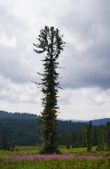 Путешествие в горы - Динара (1/5)