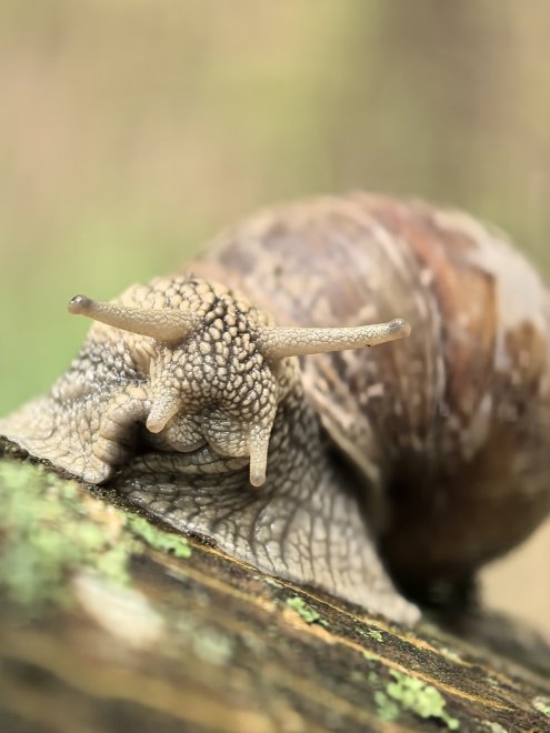 Неспешное утро - Анна