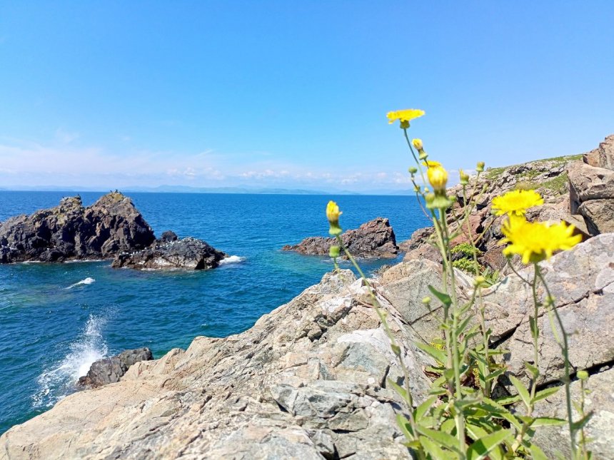 И на камнях растут цветы... - Илья