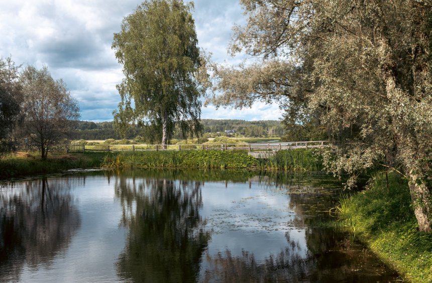 Лето в Михайловском - Ольга