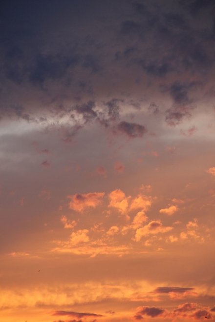 Краски вечера - Анна Ковалева