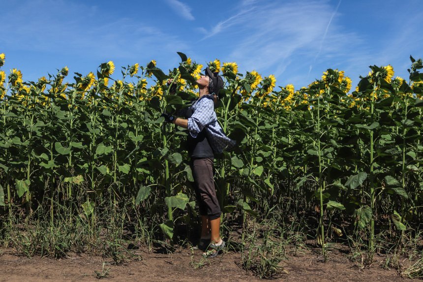 Сделаны в России - Анастасия Янгирова (1/8)