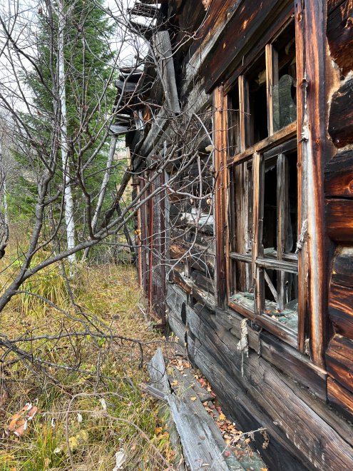 заброшенный поселок в тайге -   (1/5)