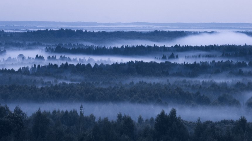 Туманный горизонт - Виктория Попкова