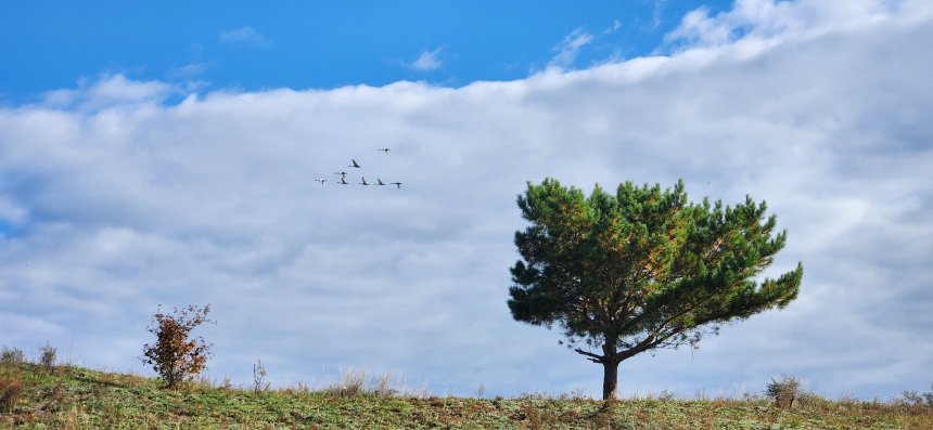 Природа Сибири -  