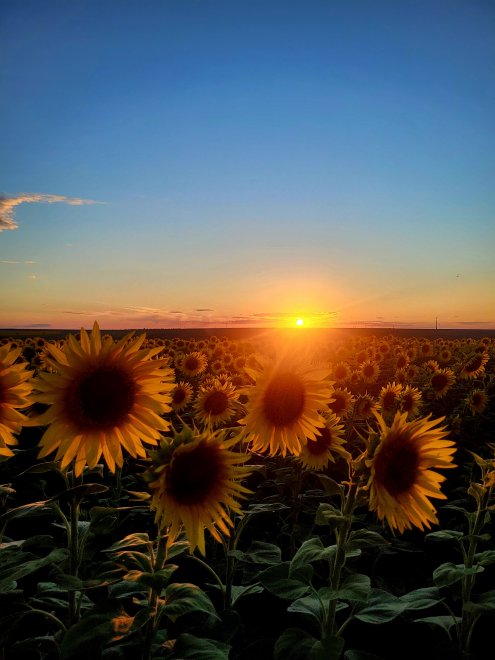 Закат - Иван