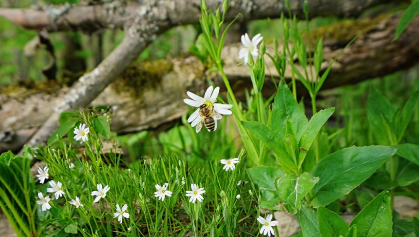 Первый теплый день. -  