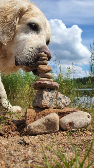 Любопытство. -  