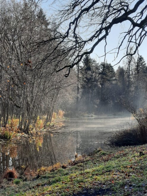 Осень в старом парке - Александр Лёвкин