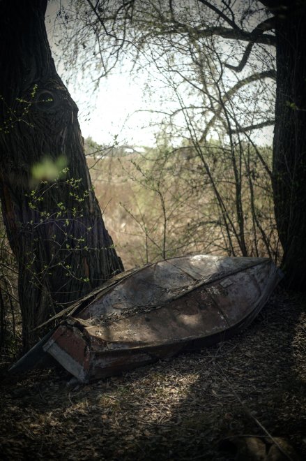 Возрождение -  