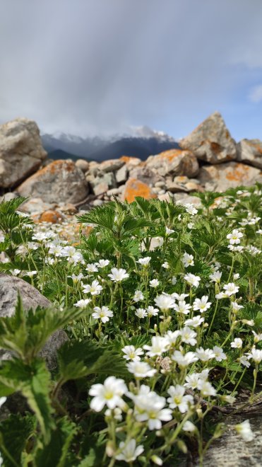 Верховья Черекского ущелья -  