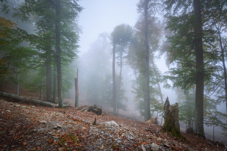 Волшебное утро - Антон Денисенко