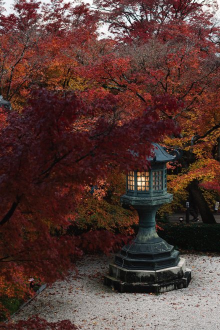 Любование кленами в Киото - Надежда Мордовская (1/8)